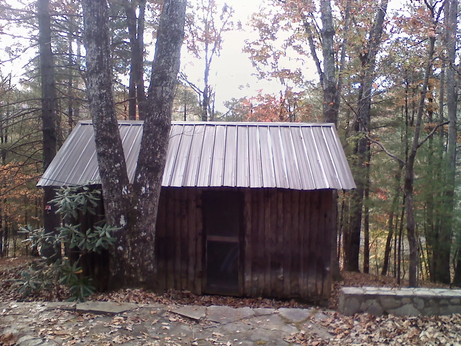 New metal gable roof on a small log shed among the trees in Quincy